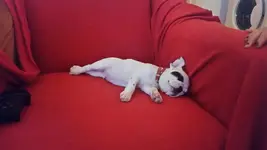 IMG-20160116-WA004.webp