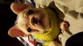 20160122_191448.webp