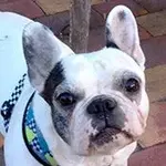 rutherford.webp rutherford.webp