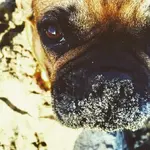SandyThelma.webp