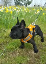 20160408_173017.webp 20160408_173017.webp