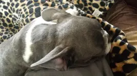 20160501_132519.webp