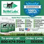 Nuvet-dog-vitamins copy.webp