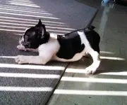 IMG00794-20120622-0852.webp