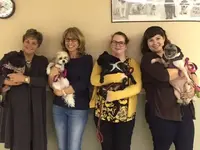 pet therapy.webp pet therapy.webp