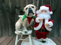 DSCN3973.webp