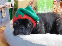 DSCN0167.webp