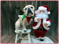 xmas w Santa 2016.webp xmas w Santa 2016.webp