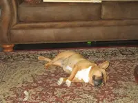 Busy day - 6-2016.webp
