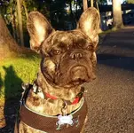 20160911_065725-1.webp
