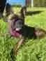 IMG_0069.webp IMG_0069.webp