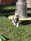 IMG_0065.webp IMG_0065.webp