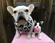 DSCN4220.webp