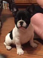 IMG_9077.webp IMG_9077.webp