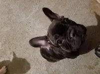 20170224_181823.webp 20170224_181823.webp