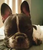 20170520_203517-1-1.webp