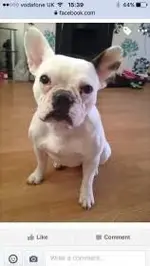 IMG_4052.webp IMG_4052.webp