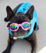 DSCN4168.webp