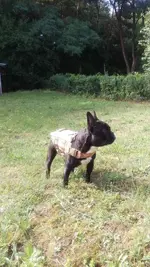IMAG1052.webp