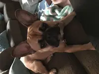 IMG_0612.webp IMG_0612.webp