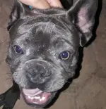 20170918_195032.webp