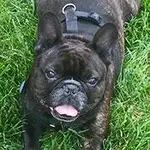 cosmo.webp cosmo.webp