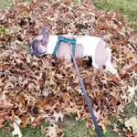IMG_20171104_170724_023.webp