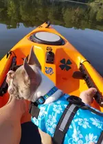 20170918_125438.webp