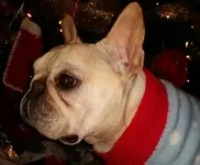 20171221_153023-1.webp