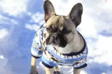 25437209_10213600783347343_126307684_n.webp