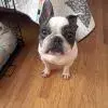 noki.webp noki.webp