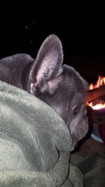 Charlie by the fire 2.jpg