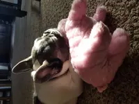 20180206_160005.webp