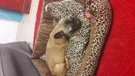 20180222_201437.webp