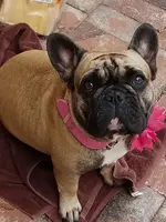 20180312_153029.webp