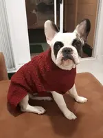20180319_195441.webp 20180319_195441.webp