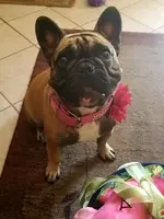 20180406_083443.webp
