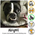 abigail.webp abigail.webp