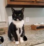20180520_151642.webp 20180520_151642.webp
