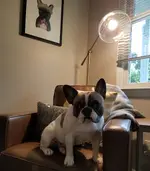 20180602_193524.webp 20180602_193524.webp