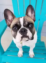 20180615_143739.webp