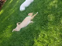 20180702_163554.webp