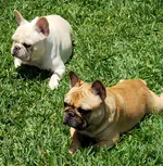 Coup and Katie 5-12-18-1.webp