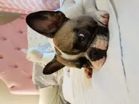 20180807_175137.webp