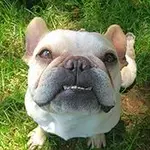isla.webp isla.webp