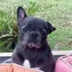 emma.webp