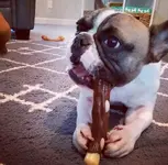 20180821_180003.webp 20180821_180003.webp