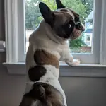 20180904_191028.webp