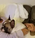 20180915_192534.webp 20180915_192534.webp