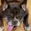 gladys.webp